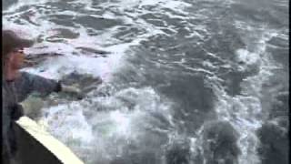 Aba Regional Semi Finals Game 2 Segment 1 Of 2 Aba Regional Semi Finals Game 2 Segment 1 Of 2