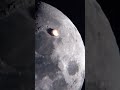 Asteroid Hitting The Moon! #lunarsurface #telescope #moon  #asteroid #shorts