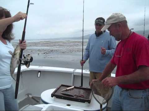 Deep  Fishing Rhode Island on Deep Sea Fishing     Oceanside  Ca