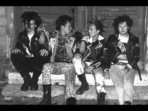 Anti-Cimex Video