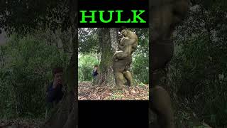 Hulk Meme