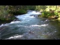 STREAM