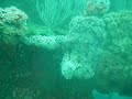 Ruby-E SCUBA Dive Wreck