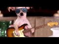 Cute Animals 🐶 Dogs and😻 Cats - Awesome Funny Pet Animals Videos 😇 EP - 119 || Copycats ||