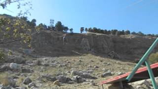 Zip Line I