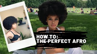 HOW TO: The Perfect Afro | CLEOPATRA LEE