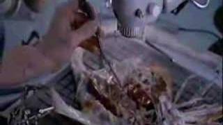 Watch Manticora Swarm Attack video