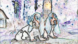 Watch Robert Palmer Hound Dog video