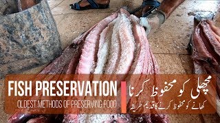 Gwadar Fish Preservation | Oldest methods of preserving food |