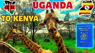 Ultimate Kenya Travel Guide 2026 Comprehensive Everything You Need To Know Style.