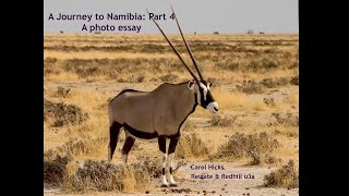 A Journey to Namibia - a Photo Essay - Part 4: Etosha National Park