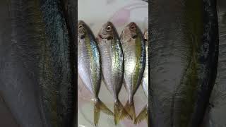 Raw Fish