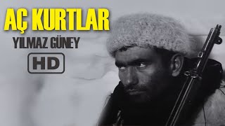 Aç Kurtlar Türk Filmi Full Yilmaz Güney