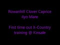 Rowanhill Clover Caprice X-Country Schooling.wmv