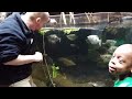 Lung Fish feeding