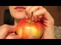 Asmr I Ll Help You Fall Asleep In 15 Minutes Asmr I Ll Help You Fall Asleep In 15 Minutes