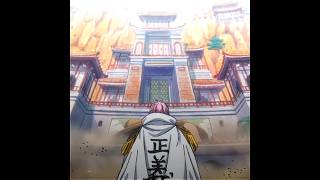 Luffys Picture In Amazon Lily, Han Loves Luffy One Piece