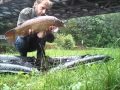 Peche de la carpe dans le Canal de la sambre à l'oise 07 et 14 juillet 2012