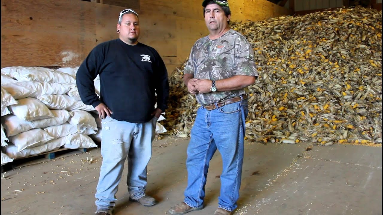 Deer Corn For Sale at Long Creek Farms YouTube