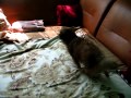 Lady after taking a bath