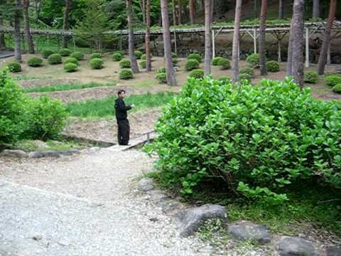 アキーラさん＆ツヨピョンお薦め！伊豆修繕寺・虹の郷　日本庭園！Japan