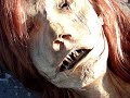 Dead Mermaid Discovered In Florida images Dead Mermaid Discovered In Florida
