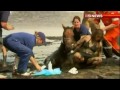 quicksand mud
