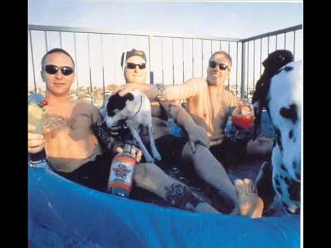Sublime- What I Got Lyrics