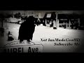 view Swallow Crow