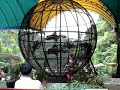 Atraksi Motor Bola Gila images Atraksi Motor Bola Gila
