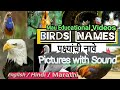 Birds Names in English, Hindi, Marathi  with Pictures with their Sounds l पंछीयो के  नाम आवाज के साथ