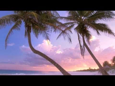 Happy To Be On An Island In The Sun Video