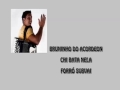 bruninho do arcodeon