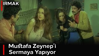Irmak Mustafa , Zeynepi Sermaye Yapıyor