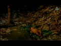 Ayyappa Swamy Janma Rahasyam Telugu Full Movie
