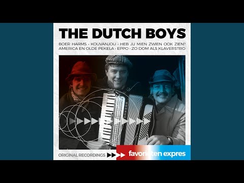 The Dutch Boys - Heb Jij Mien Zwien Ook Zien