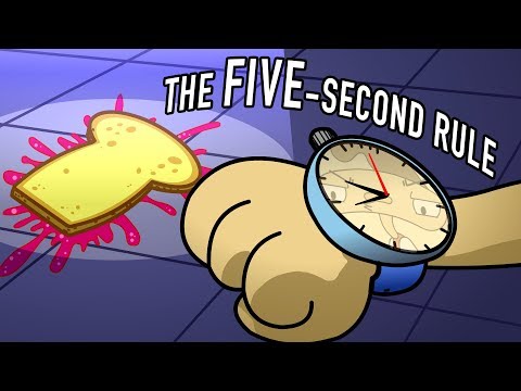 Is the five-second rule true?