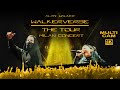 Alan Walker Walkerverse Tour full concert multi-camera 4K