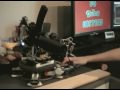 Rube Goldberg Machine - Dibs