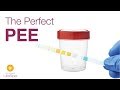 The Perfect Pee
