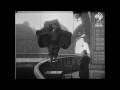10 Tragedies Caught On Film