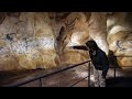 Páratlan régészeti kincsek - felavatják a Chauvet-barlang mását