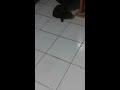 Ngintip Ibu Lagi Netein Anaknya images Ngintip Ibu Lagi Netein Anaknya