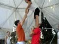 acro31
