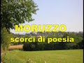 scorci
