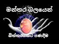 Enchanting an egg with magic in srilanka මන්තර බලයෙන් බිත්තරයකට පණදීම ( ශ්‍රී ලංකාවේ )