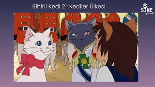 Sihirli Kedi 2 Kediler Ülkesi