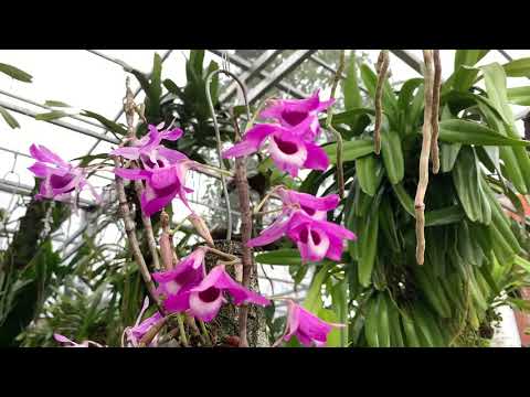 Những stt hay nhất về sự phản bội trong tình yêu. (An Nhiên)