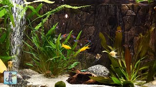 Relaxing Aquarium Fish Tank Sounds ~ NO MUSIC 🐟