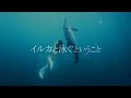 「イルカと泳ぐということ」鈴木あやの ドルフィンスイム　Ayano Dolphin Swim